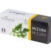 Lingot® Mizuna BIO - Voor Véritable® Indoor Moestuinen -Woninginrichting 0969abed4eaf42779c3228de81f08219