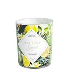 Geurkaars Citrus Met Zilveren Oorbellen 9 Geurkaars Citrus Met Zilveren Oorbellen -Woninginrichting 10fd85bb2bea41a7b33ca7d9022ae6d8