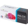 Lingot® Phlox - Voor Véritable® Indoor Moestuinen -Woninginrichting 13b92c0b611046fb8a4f86bef6e00f2d