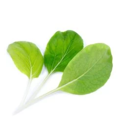 Lingot® Pak Choï BIO - Voor Véritable® Moestuinen -Woninginrichting 39e2478a653a459ab77fcacf1f280df3