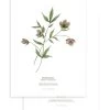 WELLINGTON Set Van 2 Kinderposters - Bloemen Botanicals -Woninginrichting 47357d9535224c46a8f0eb8fdc2aacbf
