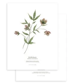 WELLINGTON Set Van 2 Kinderposters - Bloemen Botanicals