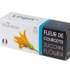 Lingot® Courgettebloem BIO - Voor Véritable® Moestuinen -Woninginrichting 5936b31598d443a092f7aaa9c220de92