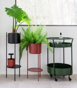 ENT Plantenstaander Medium Groen -Woninginrichting 6809171d80b8494db646a158b0e0433c