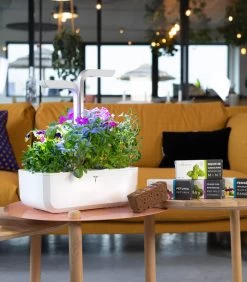 Indoor Moestuin Véritable® SMART Arctic White 12 Indoor Moestuin Véritable® SMART Arctic White -Woninginrichting 8869fdf128134adb9f129dd539b7bd17