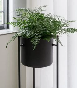 ENT Plantenstaander Medium Groen -Woninginrichting 89e66e98526e4cffbd781936e0d917e2