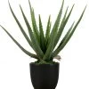 WOOOD Aloe Vera Kunstplant - Groen - 46x14x14