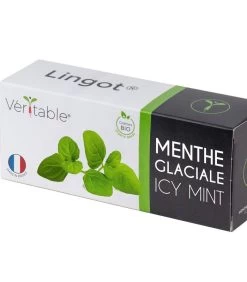 Lingot® Ijsmunt BIO - Voor Véritable® Indoor Moestuinen