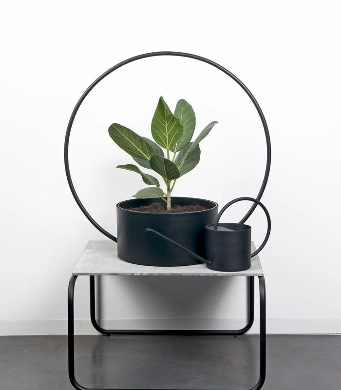 O-COLLECTION Groot Wit 6 O-COLLECTION Groot Wit - Afbeelding 4