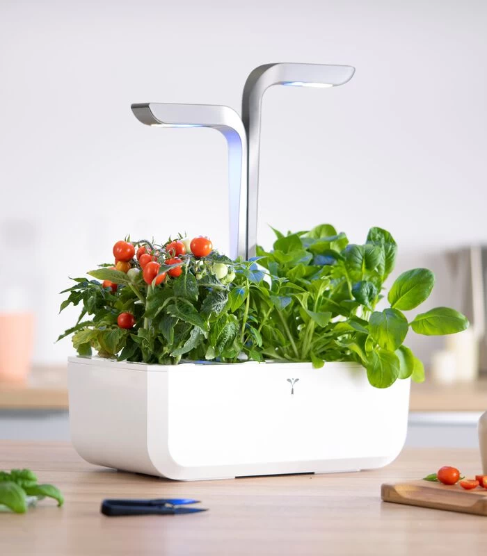 Indoor Moestuin Véritable® SMART Arctic White 5 Indoor Moestuin Véritable® SMART Arctic White - Afbeelding 3