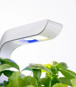 Indoor Moestuin Véritable® SMART Arctic White 11 Indoor Moestuin Véritable® SMART Arctic White -Woninginrichting e1239318136446a08d63a8bc5dc25196