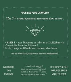 Geurkaars Kokosnoot Met Zilveren Oorbellen -Woninginrichting f55876d8273e4209a582287886608f3d