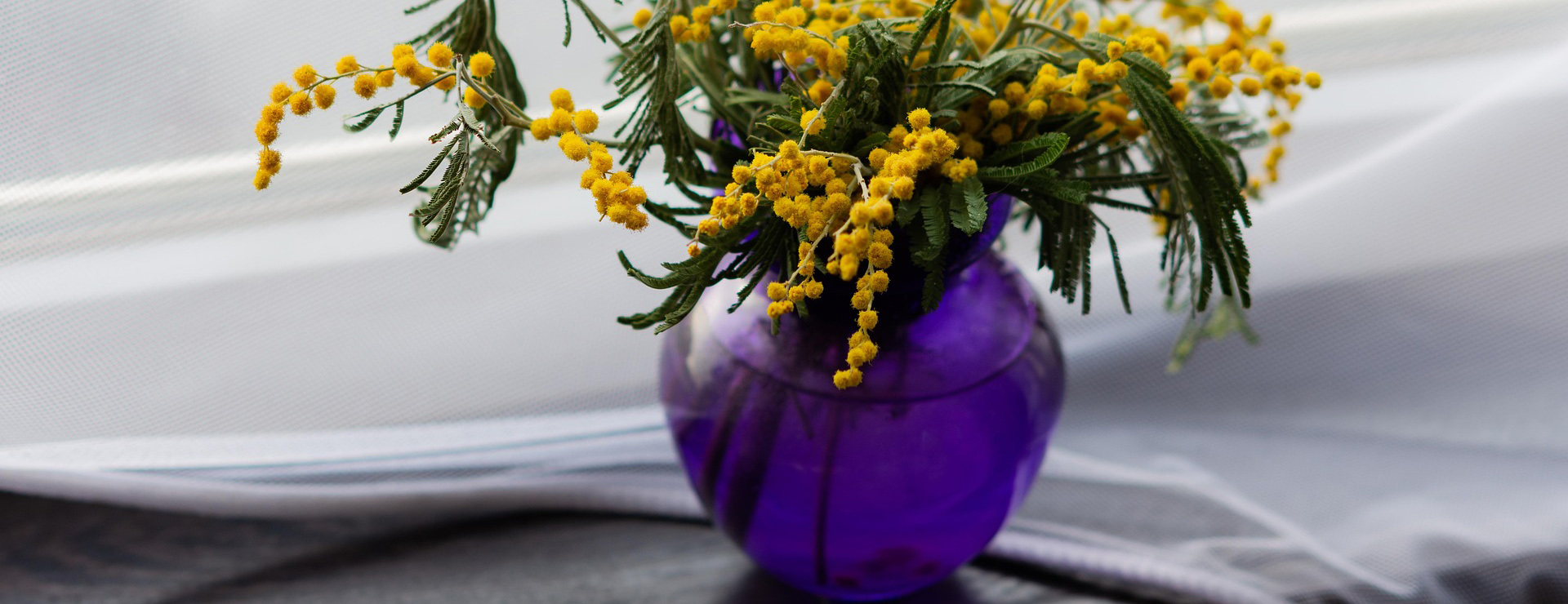 Woninginrichting 1 Woninginrichting -Woninginrichting mimosa 4253396 1920